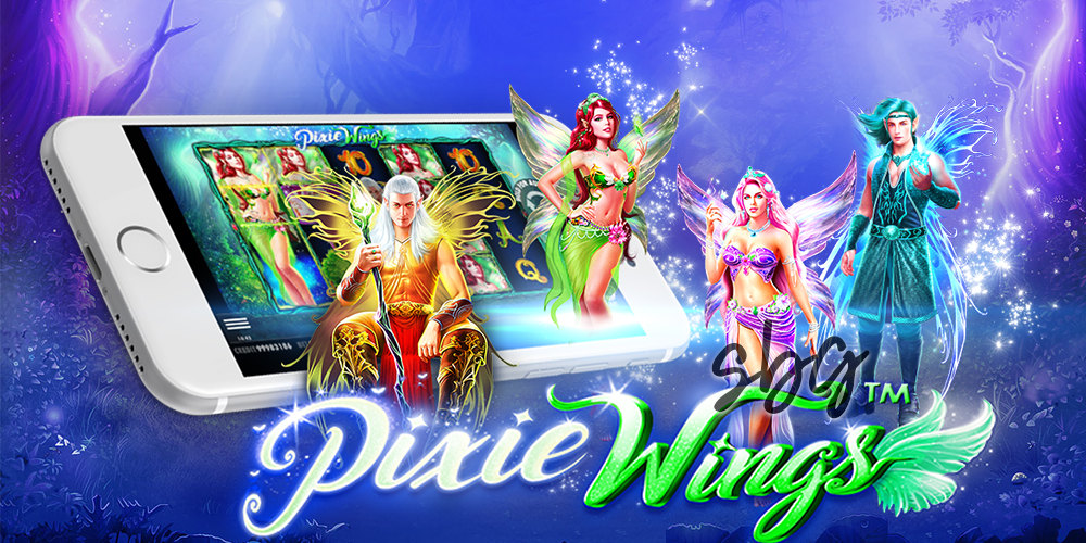 Pixie Wings Tergacor